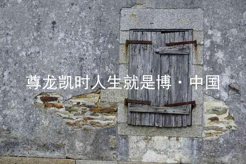 尊龙凯时人生就是博·中国